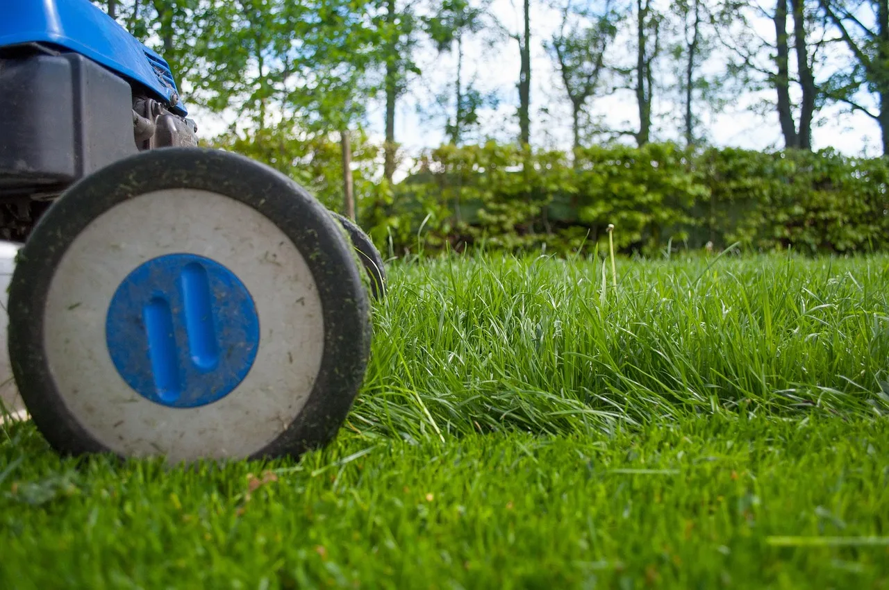 lawnmower, gardening, lawn-mower, lawn-mower chassis, lawn, grass, cutting, gardener, equipment, hdr, summer, work, hobby, garden, machine, backyard, mower, maintenance, lawn mower, yard, green work, nature, green gardening. Monthly metrics for an equipment rental business, and what each one signals