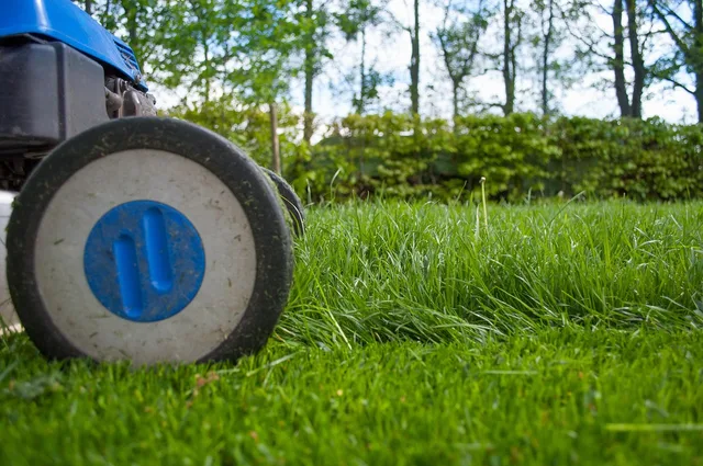 lawnmower, gardening, lawn-mower, lawn-mower chassis, lawn, grass, cutting, gardener, equipment, hdr, summer, work, hobby, garden, machine, backyard, mower, maintenance, lawn mower, yard, green work, nature, green gardening. Monthly metrics for an equipment rental business, and what each one signals