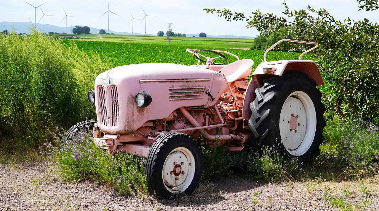 tractor, pink, farm yard, agriculture, old, tractor, tractor, tractor, tractor, tractor. Equipment rental license requirements compared with what actually happens