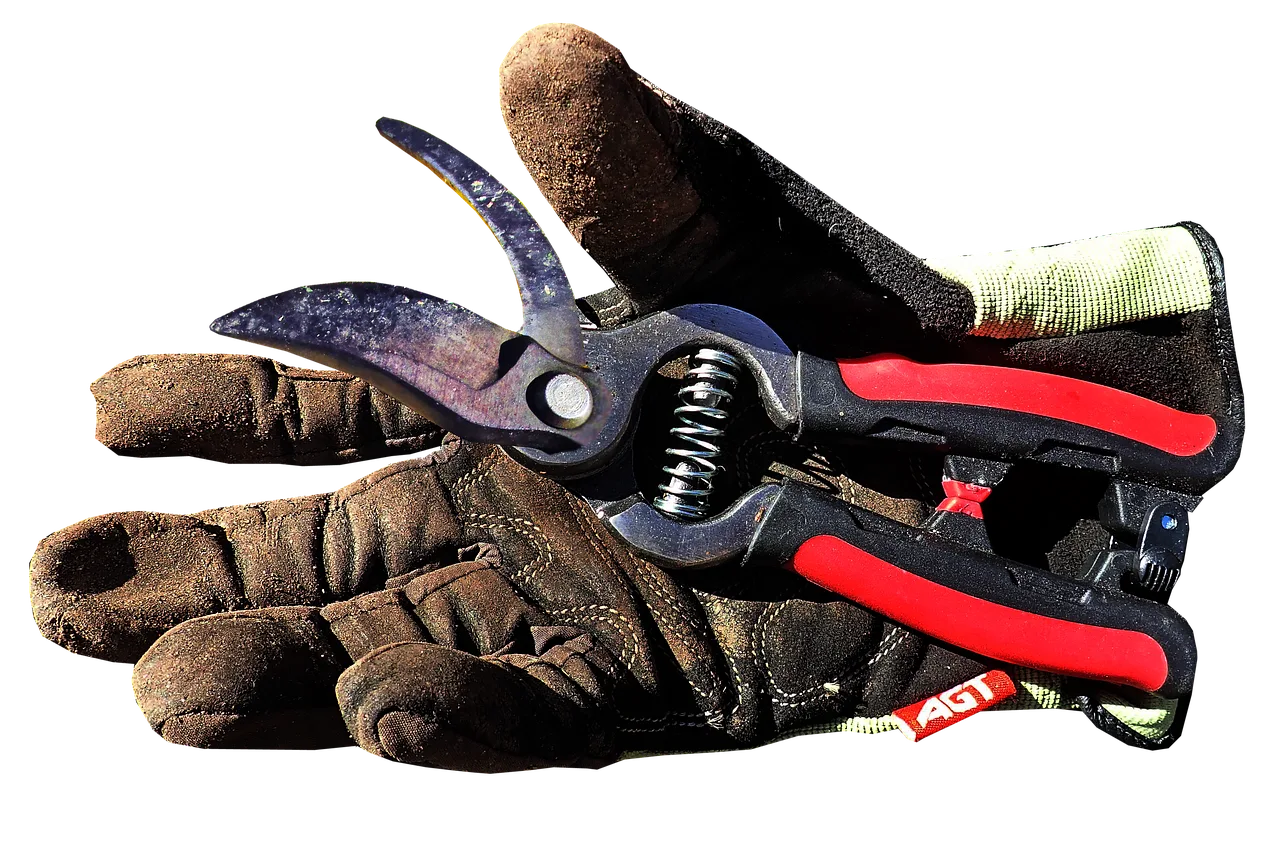 gardening, work, glove, equipment, household, tools, cut out, isolated. 4 wildfire season risks for equipment hire yards in BC and Alberta