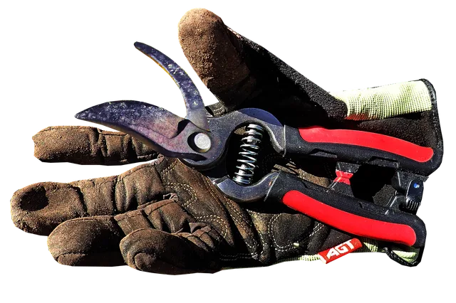 gardening, work, glove, equipment, household, tools, cut out, isolated. 4 wildfire season risks for equipment hire yards in BC and Alberta